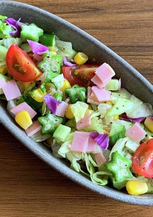 夏野菜のチョップドサラダ-レシピのメイン写真