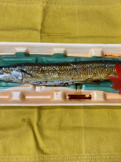 焼き秋刀魚の食べ方-レシピのメイン写真