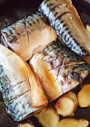 塩サバの醤油煮-レシピのメイン写真