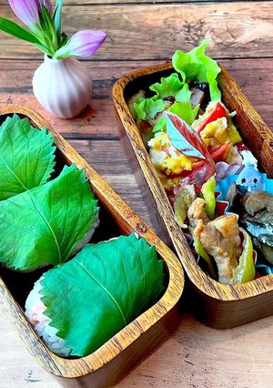 令和四年九月十二日　お弁当-レシピのメイン写真