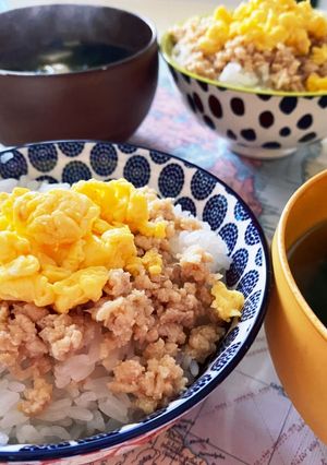 私の鶏そぼろ活用無限大！保存方法も。。。-レシピのメイン写真