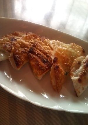 葱だけ餃子-レシピのメイン写真