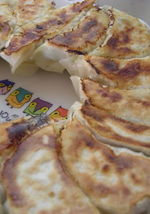 たくさん食べてもいい!低カロリー餃子-レシピのメイン写真
