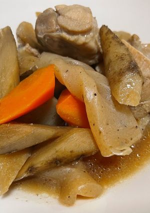 鶏肉とごぼうたちの煮物◎-レシピのメイン写真