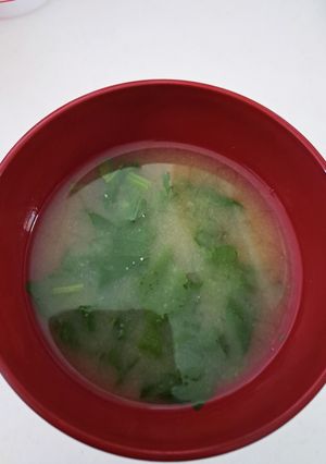捨てないで！ラディッシュのはっぱ-レシピのメイン写真