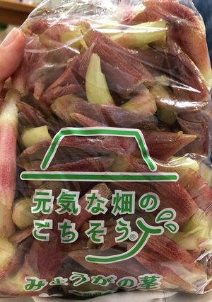 茗荷のキムチ-レシピのメイン写真