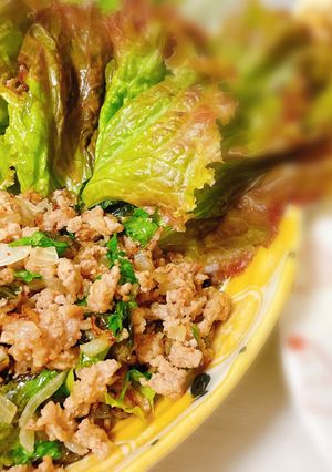ラープ-レシピのメイン写真