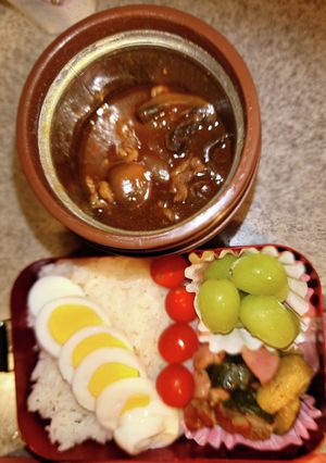 ビーフシチュー　ズッキーニ合鴨　弁当-レシピのメイン写真