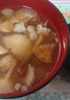 大根おろし入りボリボリきのこの味噌汁-レシピのメイン写真