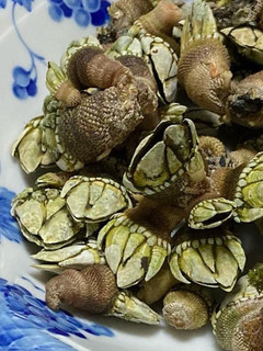 カメの手の茹で方-レシピのメイン写真