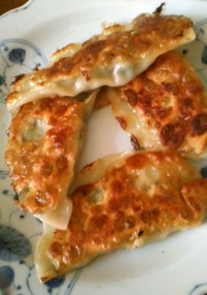 餃子にチキンスープ入れてみた、これもいい-レシピのメイン写真