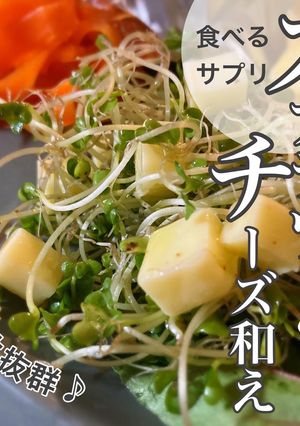 相性抜群！スプラウトのチーズ和え-レシピのメイン写真
