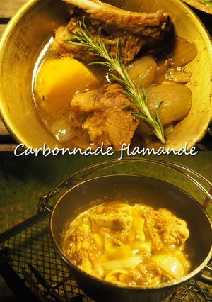 豚肉の黒ビール煮込み・ベルギー風-レシピのメイン写真