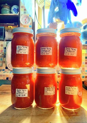 梅酢で作る自家製トマトケチャップ-レシピのメイン写真