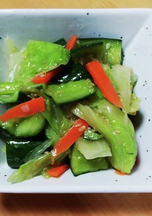 野菜たちの塩ダレの浅漬風-レシピのメイン写真