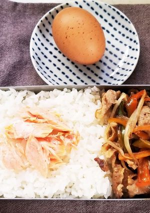 野菜炒めおきべん(9.17)-レシピのメイン写真