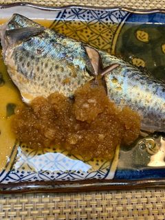 サバのみぞれ煮-レシピのメイン写真