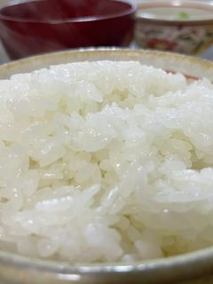お鍋で炊く美味しいご飯-レシピのメイン写真