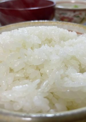お鍋で炊く美味しいご飯-レシピのメイン写真