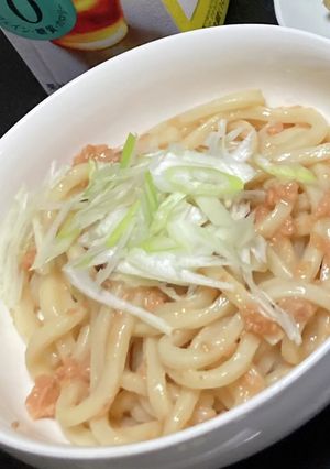 鮭フレークで！簡単うどん-レシピのメイン写真