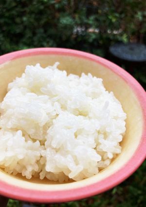 キャンプ&防災☆カセットコンロ圧力鍋ご飯-レシピのメイン写真