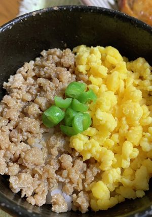 【簡単】そぼろ丼-レシピのメイン写真