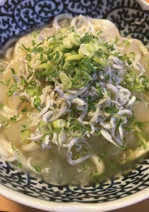 しらす&冬瓜のおろし餡かけ風煮込みうどん-レシピのメイン写真