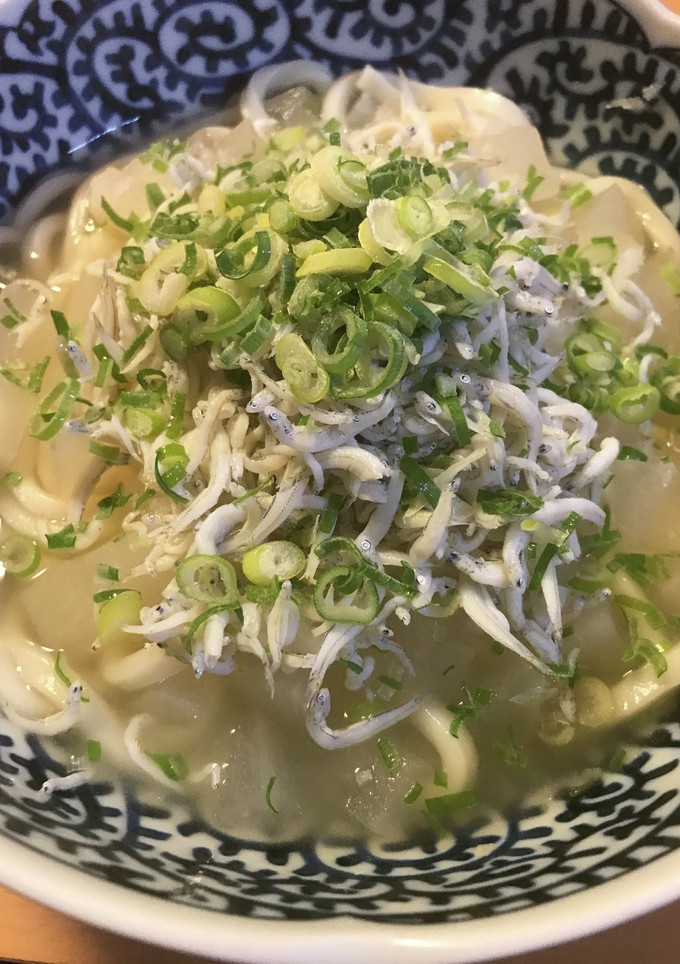 しらす＆冬瓜のおろし餡かけ風煮込みうどん-レシピのメイン写真