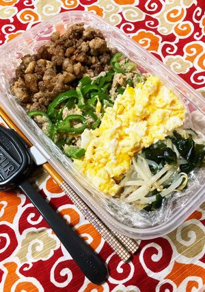 2022/9/20 そぼろ丼弁当-レシピのメイン写真