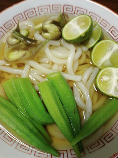 簡単サッパリ失敗無しのスダチうどん-レシピのメイン写真