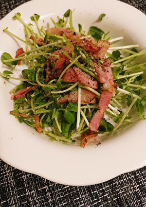 豆苗のシャキサラダ-レシピのメイン写真
