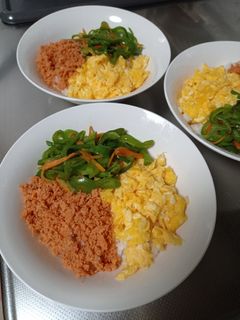 三色丼-レシピのメイン写真