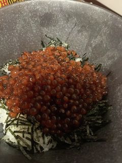 生筋子でいくらの醤油漬 いくら食べ放題-レシピのメイン写真