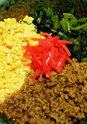 がっつり!肉感あふれるごちそう三色丼-レシピのメイン写真