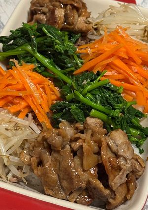 ビビンバ(身内専用)-レシピのメイン写真