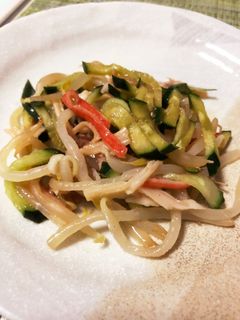 もやし中華サラダ-レシピのメイン写真