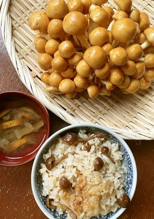 クイーンなめこの炊き込みご飯-レシピのメイン写真
