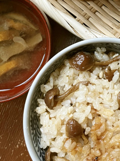 キングなめこの味噌汁-レシピのメイン写真
