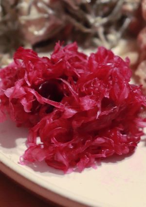 紫キャベツの塩レモン-レシピのメイン写真