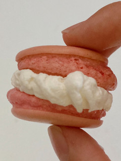 セリアのマカロンの粉で簡単マカロン!-レシピのメイン写真
