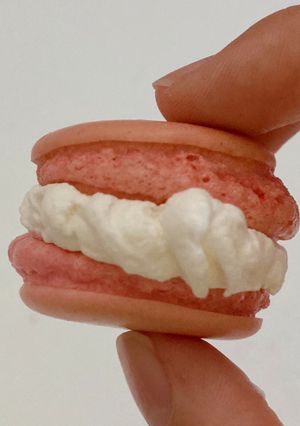 セリアのマカロンの粉で簡単マカロン!-レシピのメイン写真