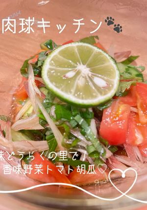 味どうらくで!サッパリ香味野菜トマト胡瓜-レシピのメイン写真