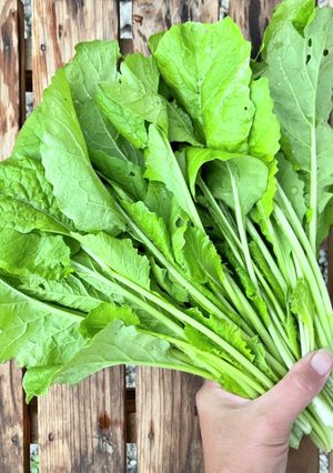 間引き野沢菜を美味しく食べる卵とじ-レシピのメイン写真