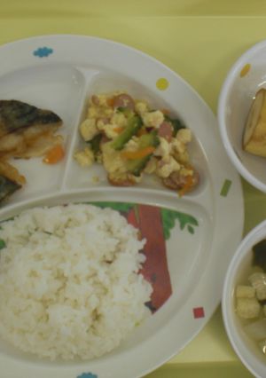 めばえ保育園　ゴーヤチャンプルー-レシピのメイン写真