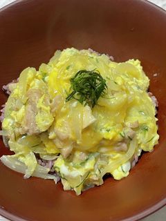 シソ入り親子丼-レシピのメイン写真