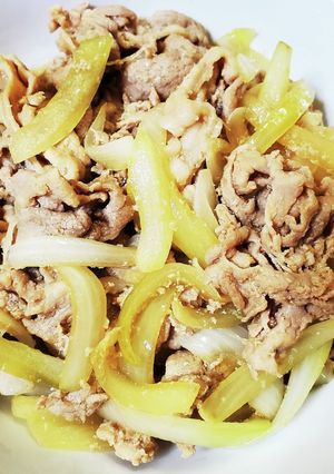 安売り豚肉w匂わないw玉ねぎ+生姜焼き☺-レシピのメイン写真
