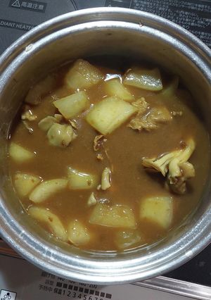 冬瓜カレー-レシピのメイン写真