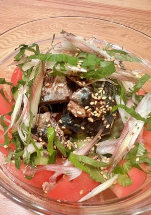 鯖水缶トマト胡瓜のサッパリ香味野菜サラダ-レシピのメイン写真