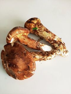 簡単 松茸ご飯-レシピのメイン写真