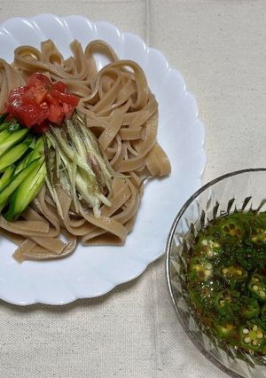 う米めんのさっぱり麺-レシピのメイン写真
